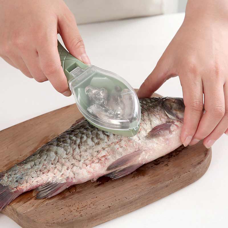 Couteau grattoir à écailles de poisson de cuisine